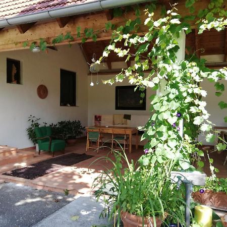 Anna'S Cosy Apartment 일미츠 외부 사진